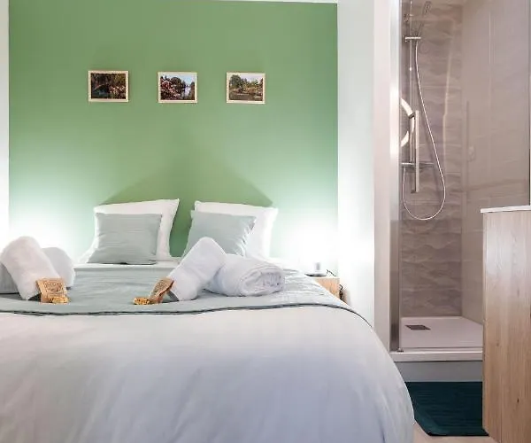 Les Hortillonnages_b&b Inn_centre Ville_terrasse_wifi_netflix 아파트